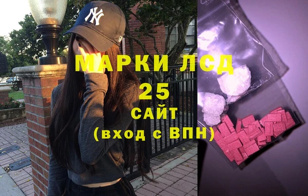 спайс Каменка