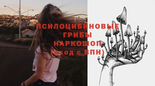соль ск Армянск