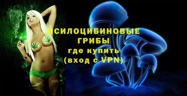 спайс Аркадак