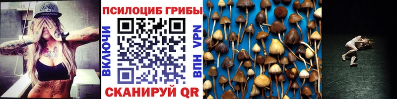 Псилоцибиновые грибы прущие грибы  Калачинск 